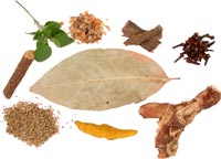 Сигареты Нирдош (Nirdosh) - быстрый и безболезненный способ избавиться от никотиновой зависимости