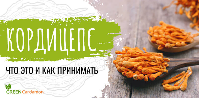 Кордицепс Кордицепс