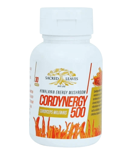 Кордицепс (Cordynergy Cordyceps Militaris Sacred Leaves) 30 капсул по 500 мг