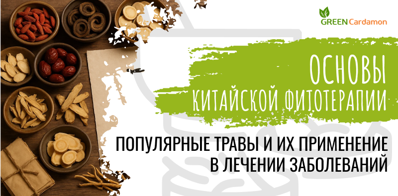 Основы китайской фитотерапии: популярные травы и их применение в лечении заболеваний
