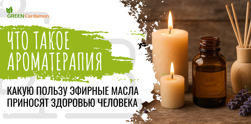 Что такое ароматерапия и какую пользу эфирные масла приносят здоровью человека