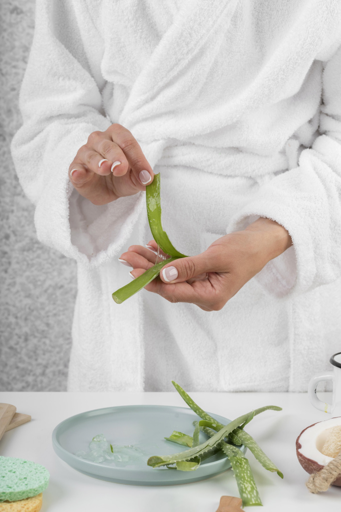 close-up-hands-holding-aloe-vera-plant (1).jpg close-up-hands-holding-aloe-vera-plant (1).jpg
