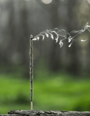 Благовония Gaia Incense Sagrada Madre, 8 палочек, 23 см