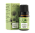 Эфирное масло Эвкалипт (Eucalyptus Oil Jiah Essentials) 10 мл